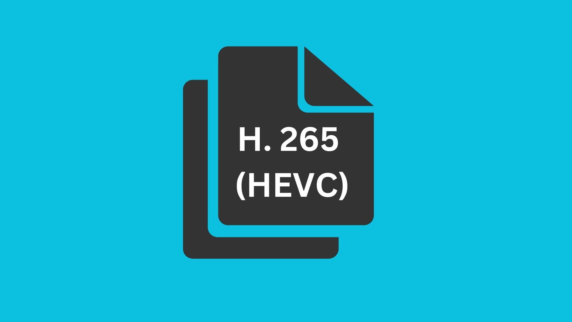 h265 video codec