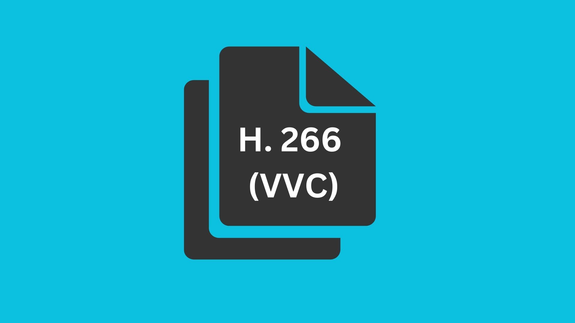 h266 video codec