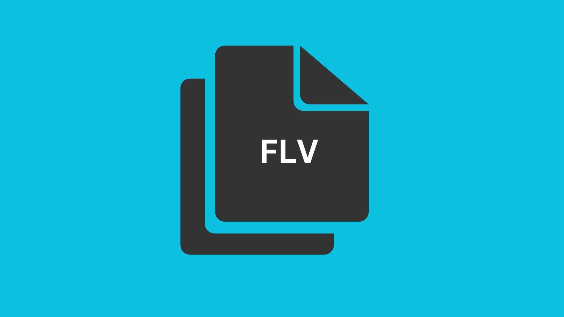 flv video codec