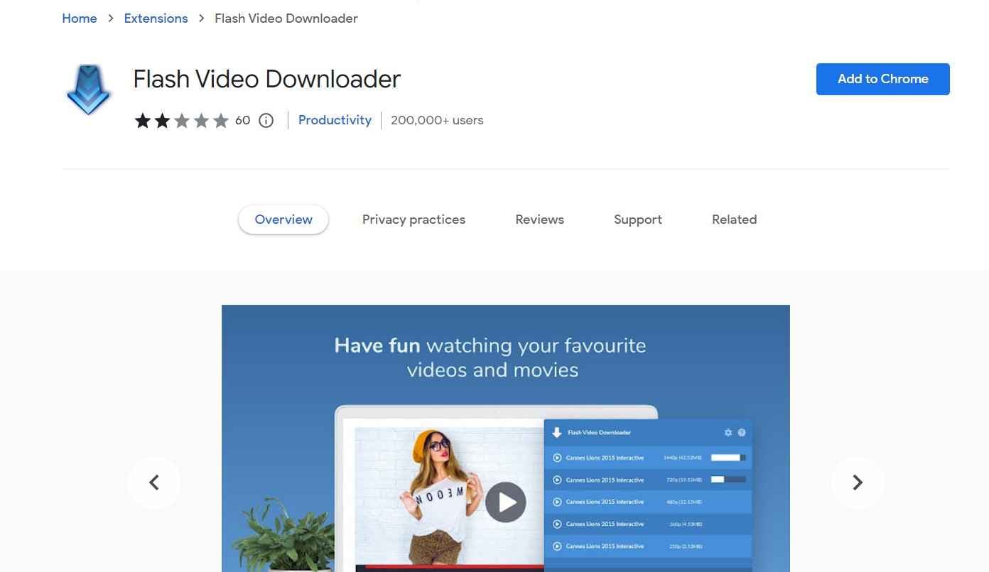 flash video downloader