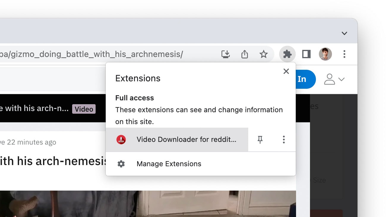 cliquer sur l'extension redditsave