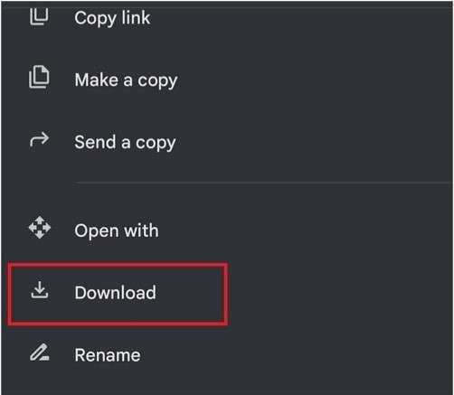 click the download option