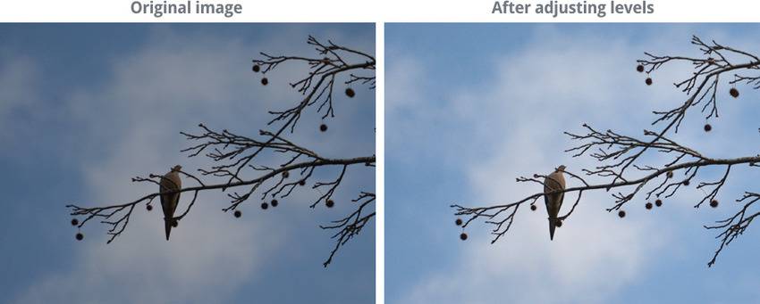 comparing color correction in photoshop
