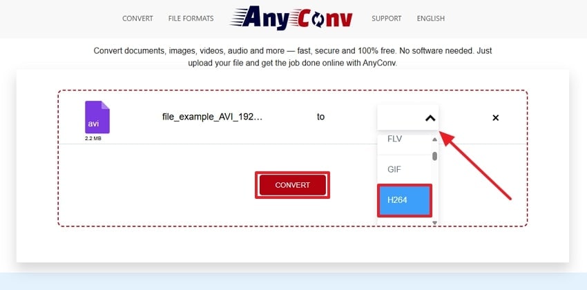 adjust format settings and tap convert