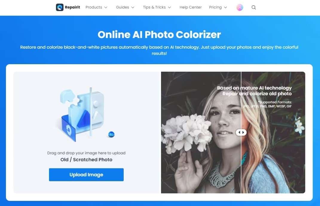 wondershare repairit online photo colorizer