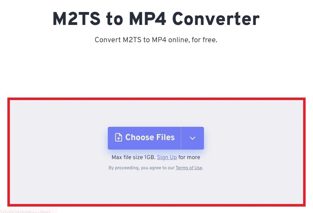 choose m2ts files