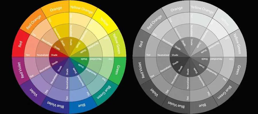 transforming black & white to color 