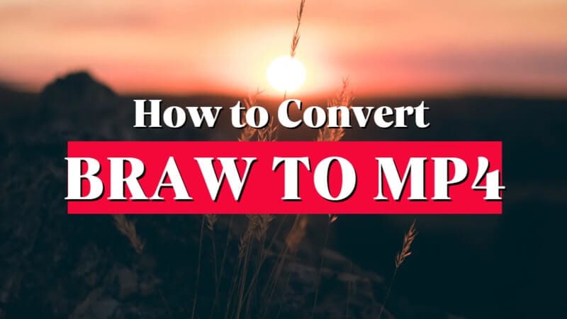 How to Convert BRAW to MP4: Top 2 Converters