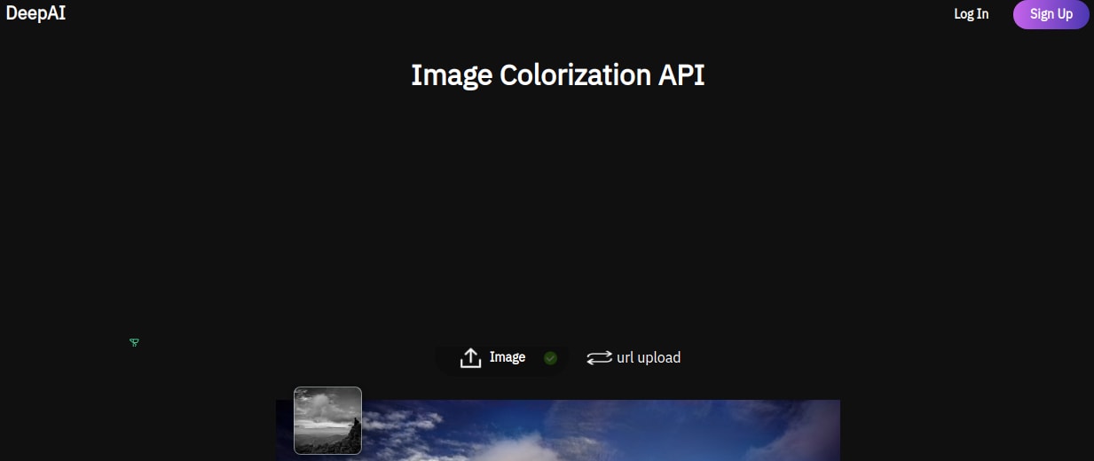 deepai colorization user interface