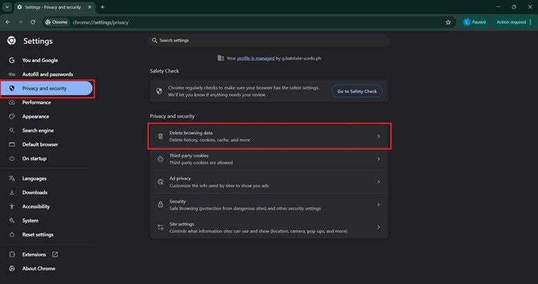 delete browsing data