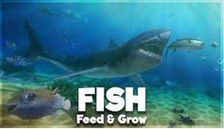 fish feed and grow user interface