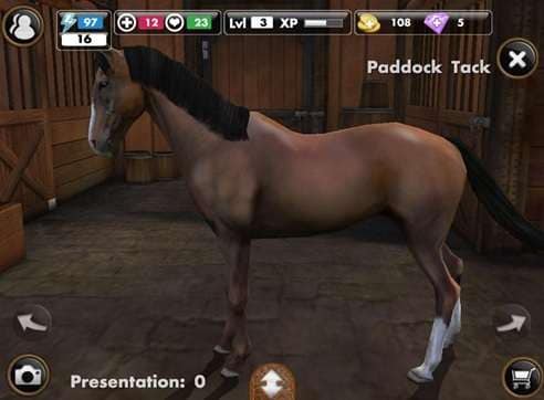 interface of my horse app
