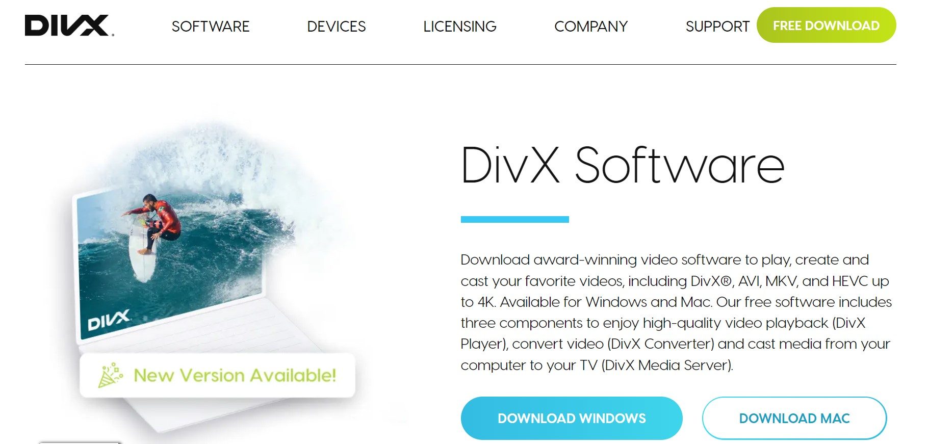 what is divx player 