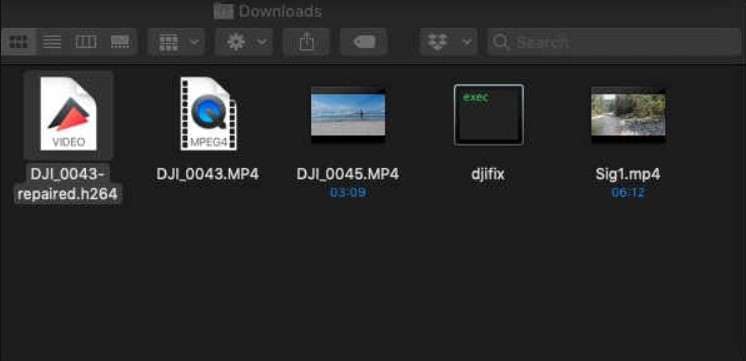 djifix-Datei mit beschädigten Videos