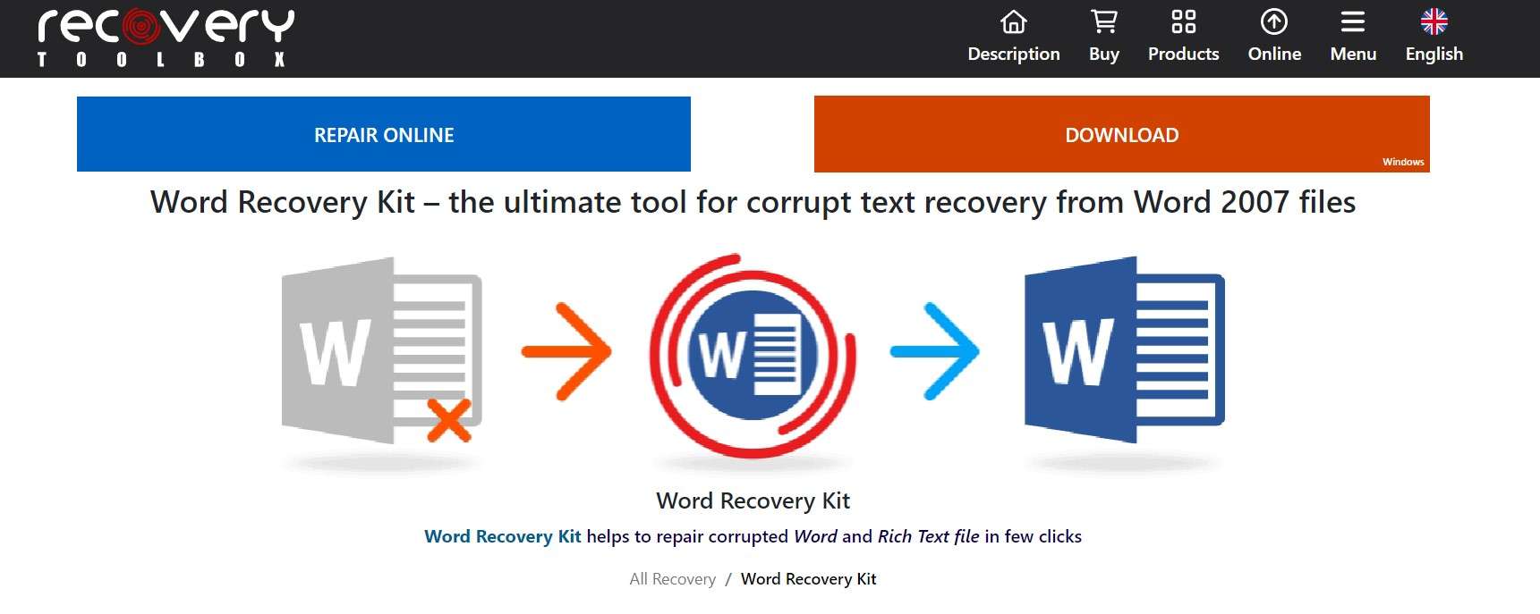 word recovery kit