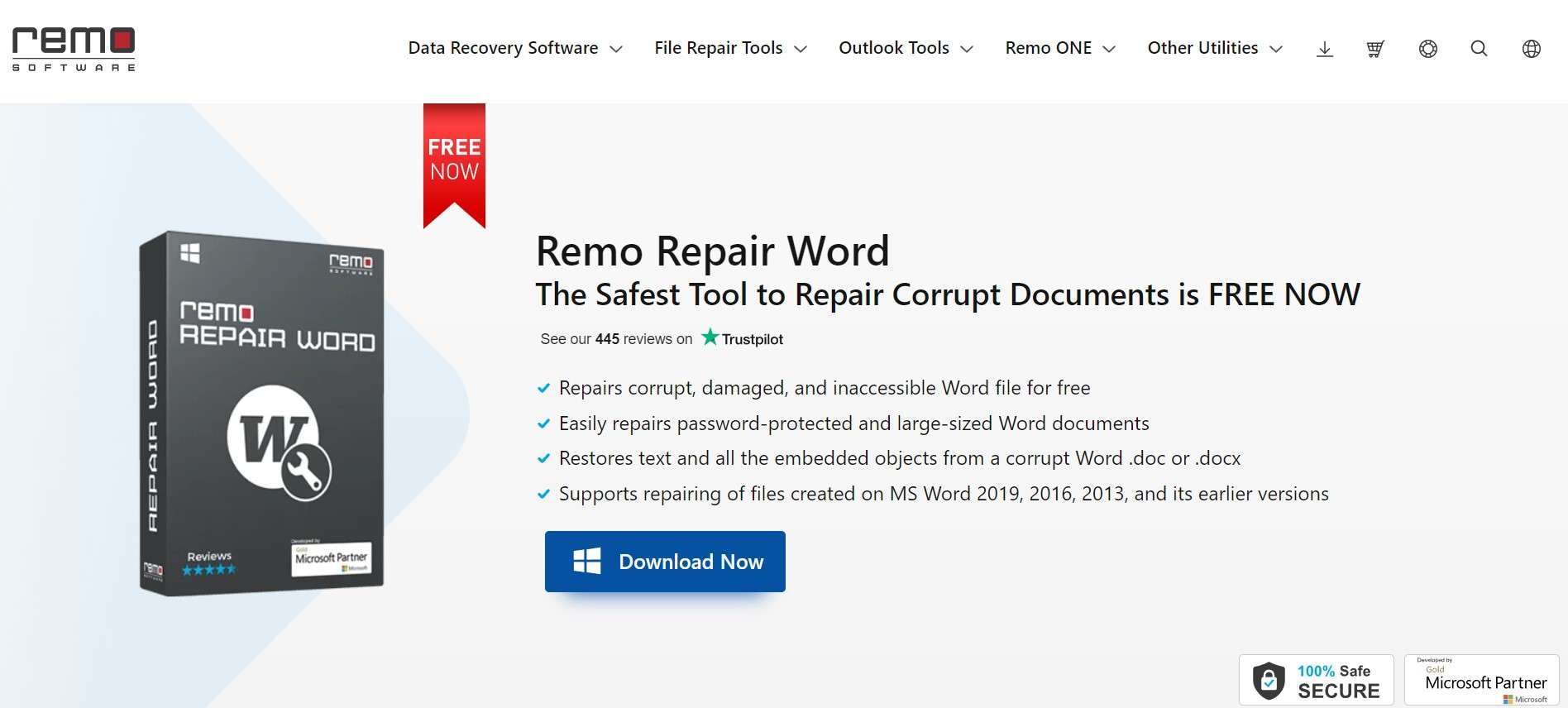 remo repair word
