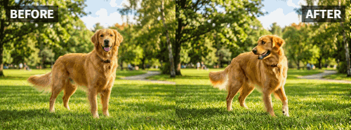 Come animare il tuo cane o gatto che balla su TikTok