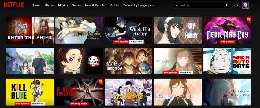 netflix platform