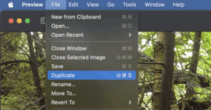duplicate-your-image