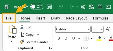 clicking on the file menu in excel