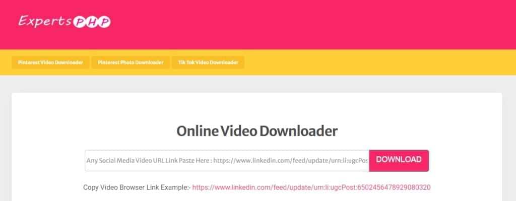 expert php linkedin online video downloader