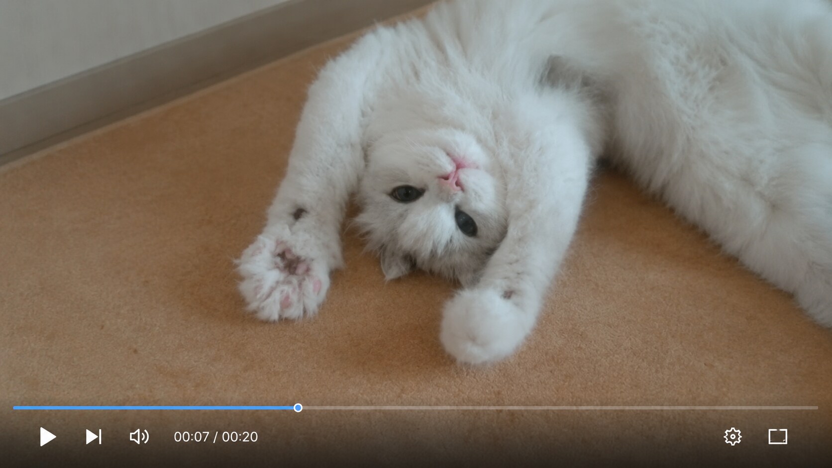 exported video buffering after