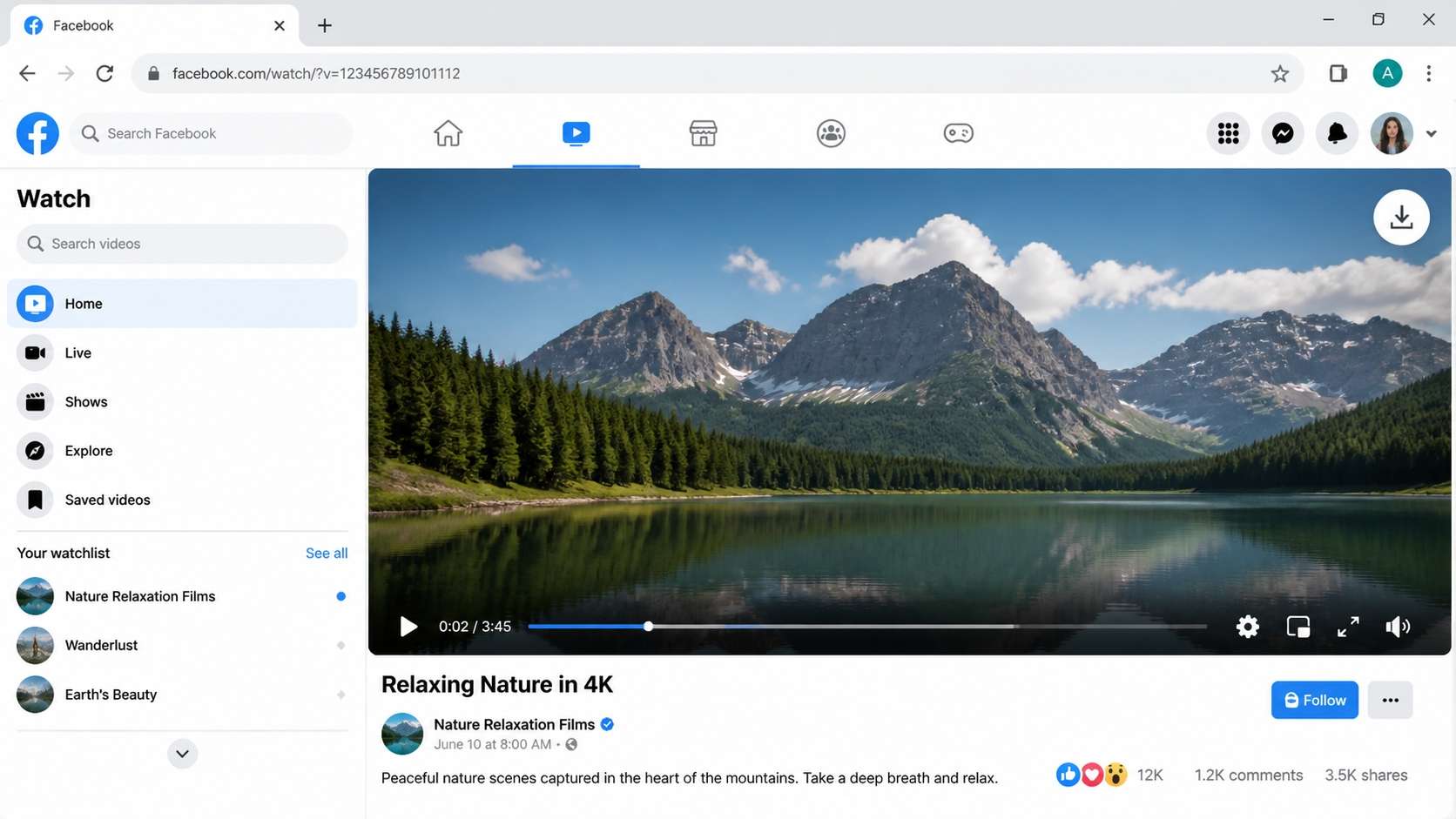 facebook video player with download button in chrome