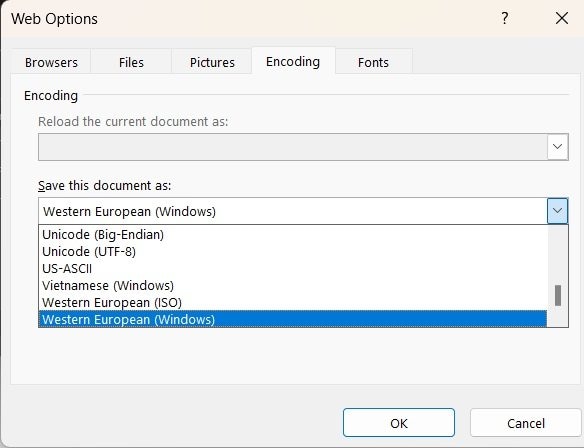 encoding options in word 