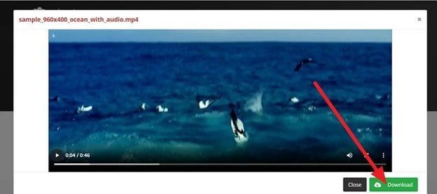 pick the download option