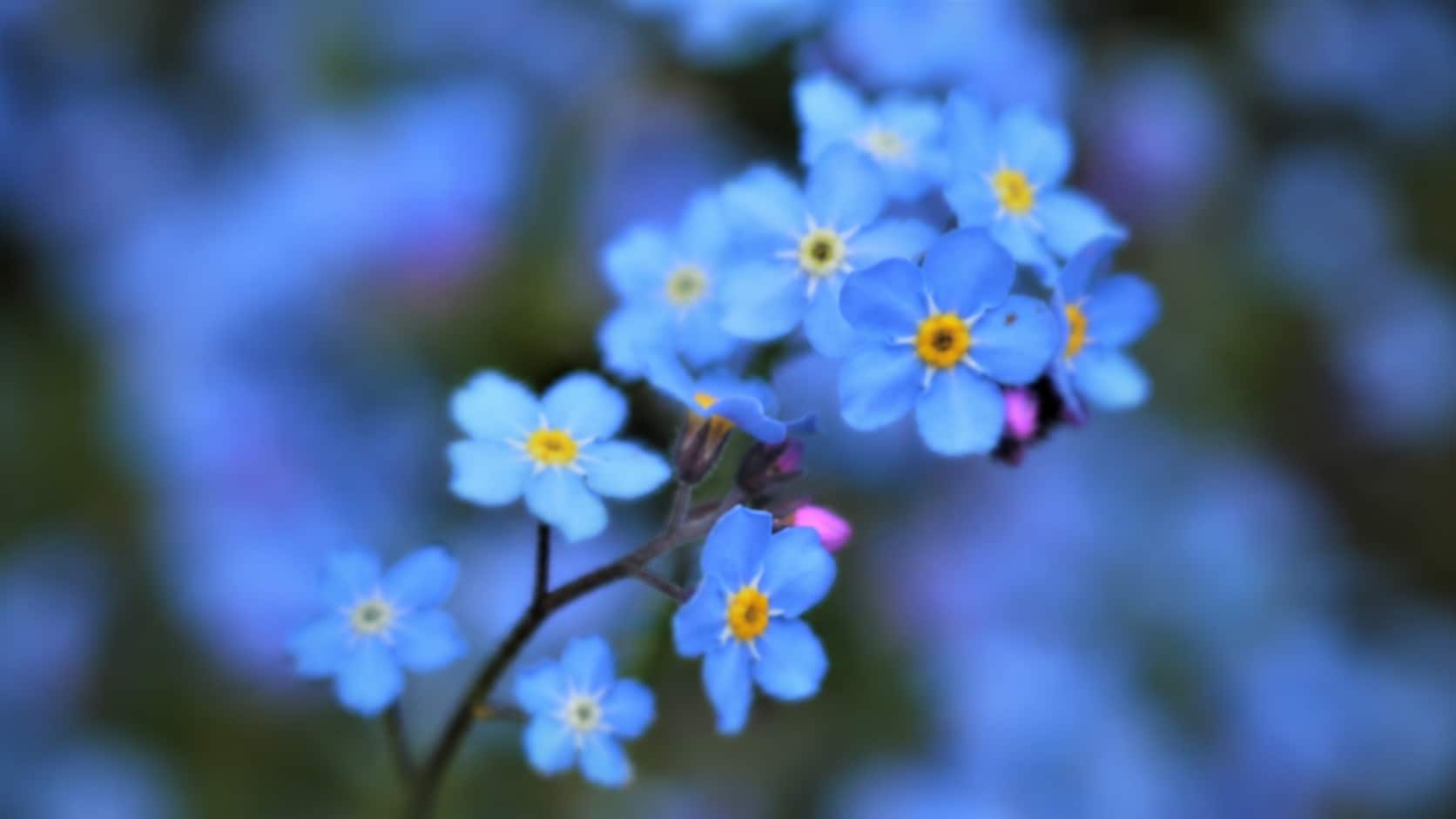 fix an out of focus photo before