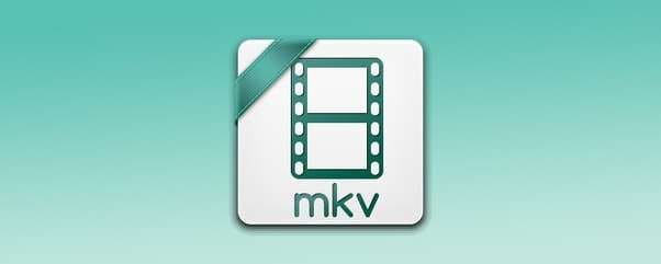 the mkv format 