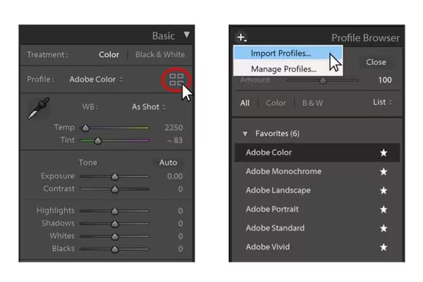 fix white balance through the lightroom