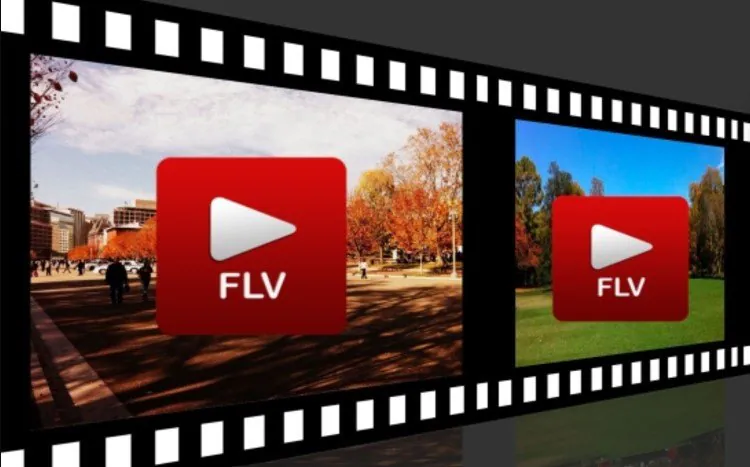 flv video format