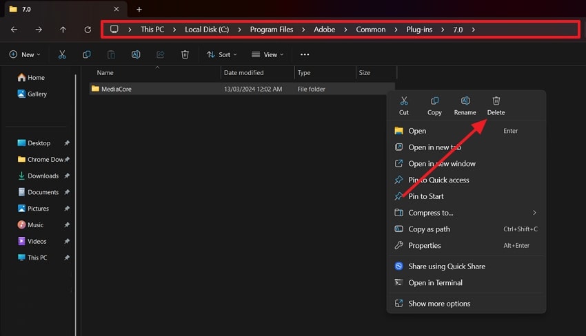 delete faulty plugins folder