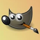 gimp