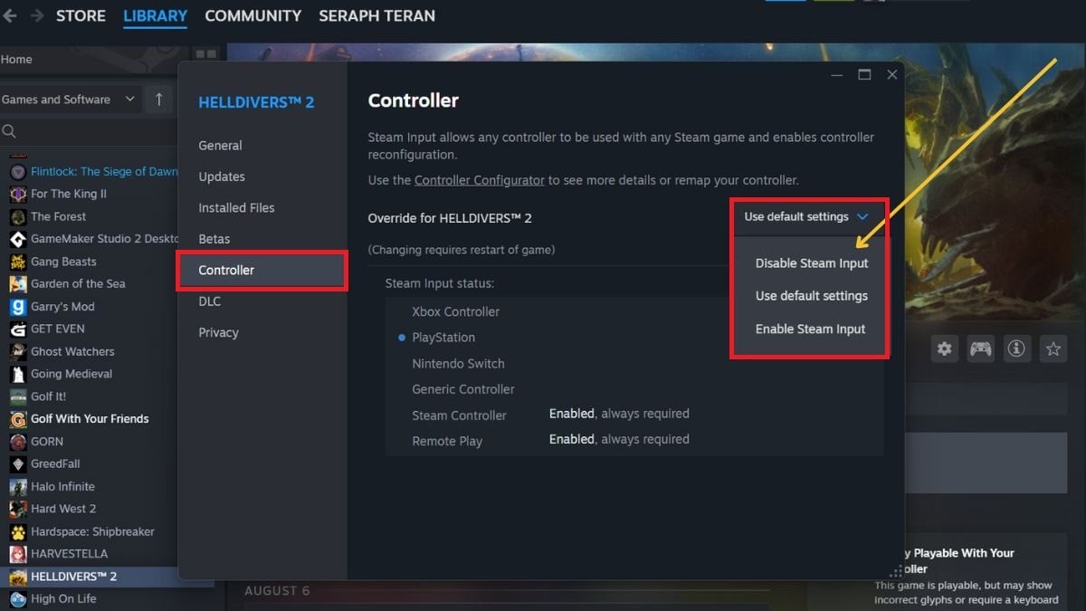 disable steam input