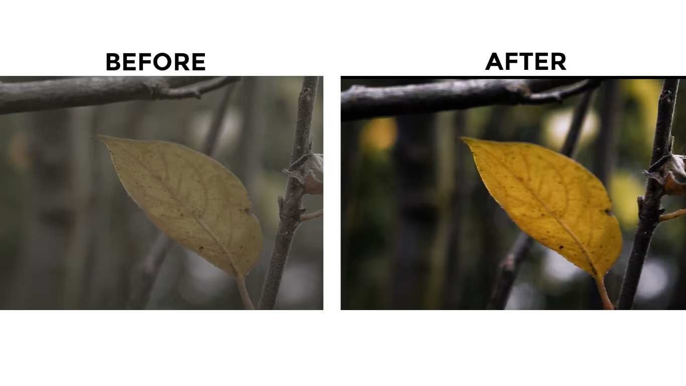 modification repairit online ai photo colorizer 