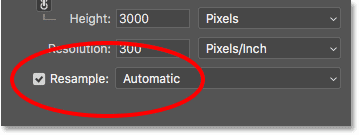 photoshop resample options 