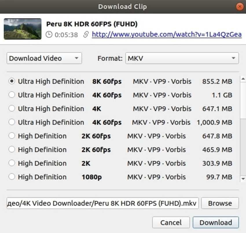 scarica i video protetti con un downloader desktop