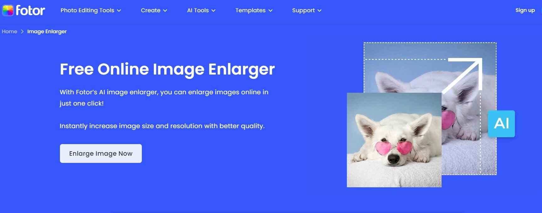 fotor ai outil pour agrandir l'image