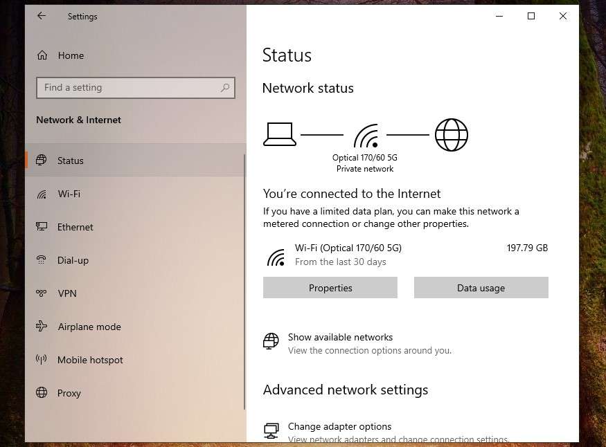 windows network and internet status 