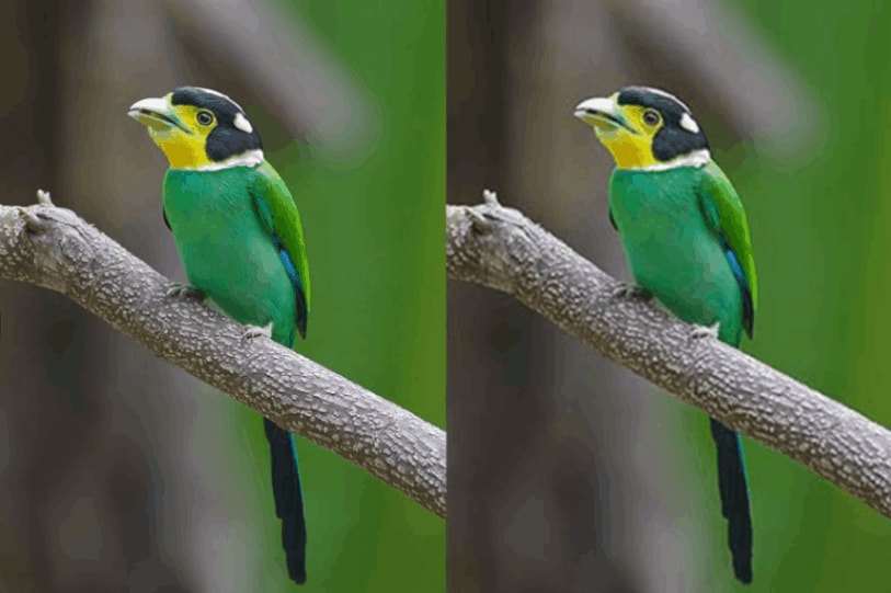 how to fix overly compressed images online