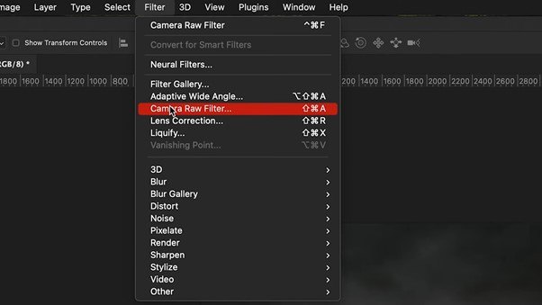 go to the camera raw filter option.