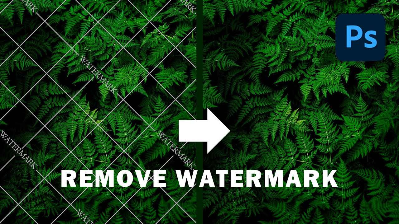 How To Remove the Watermark In Photoshop