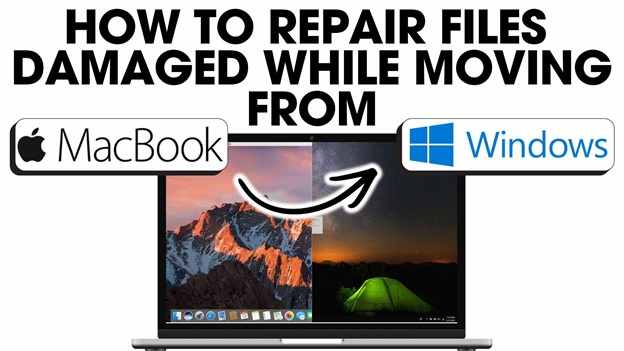 Fix Damaged Video Files While Moving from Mac to Windows