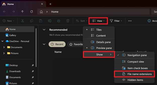 download file name extensions 