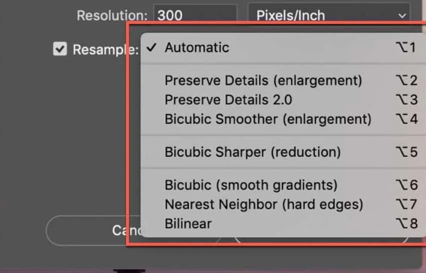 ai image resize resampling options 