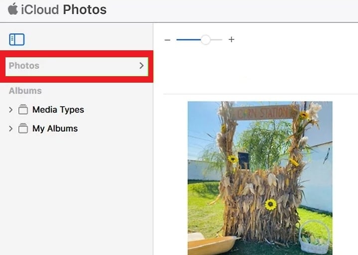 select photos