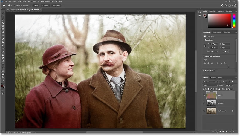 image colorization process in the application