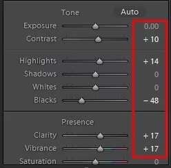 adjust the presence through vibrance and clarity